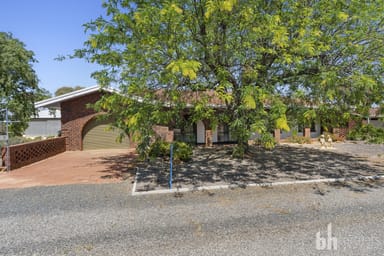 Property 16 Alamein Avenue, LOXTON NORTH SA 5333 IMAGE 0