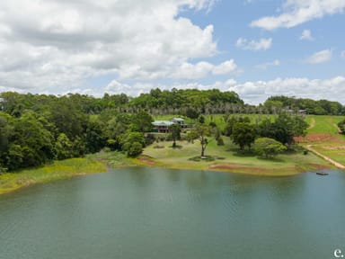 Property 231 Favier Road, KAIRI QLD 4872 IMAGE 0