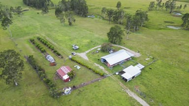 Property 43 Ellis Road, Braunstone NSW 2460 IMAGE 0