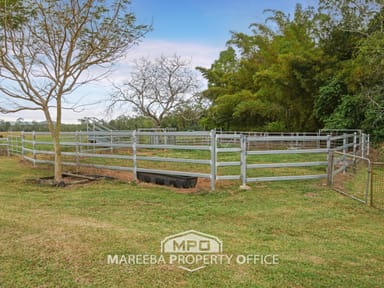 Property 1004 Bilwon Road, BIBOOHRA QLD 4880 IMAGE 0