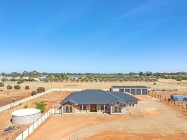 Property 19 Griffiths Road, Kudla SA 5115 IMAGE 0