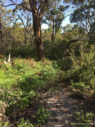 Property . South Gippsland Highway, Woodside VIC 3874 IMAGE 0