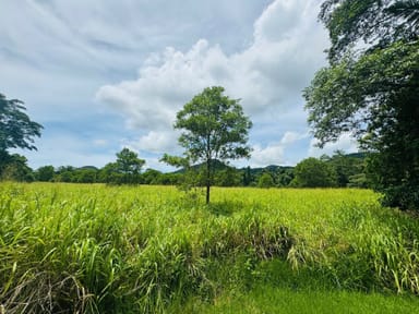 Property LOT 1 Jackson Rd, Shell Pocket QLD 4855 IMAGE 0