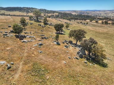 Property 1432 Pine Mount Road, Darbys Falls NSW 2793 IMAGE 0