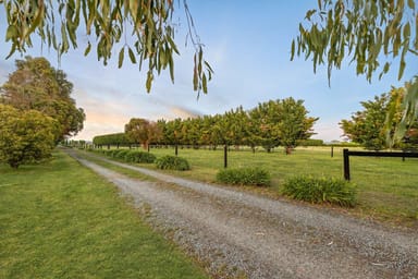 Property 170 Settlement Road, Sunbury VIC 3429 IMAGE 0