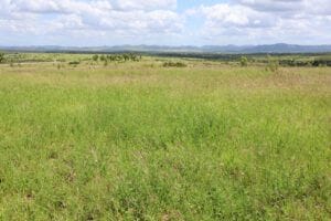 Property 10 Donovan Rd, Wycarbah QLD 4702 IMAGE 0