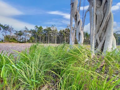 Property Sanderling Drive, Boonooroo QLD 4650 IMAGE 0