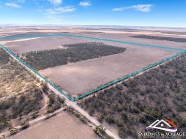 Property Lot 251 Liebigs Road, Steinfeld SA 5356 IMAGE 0