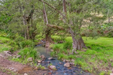 Property Lot 3 & Lot 60 2642 Carrowbrook Road, Carrowbrook, SINGLETON NSW 2330 IMAGE 0