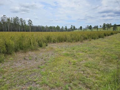 Property Tatham NSW 2471 IMAGE 0