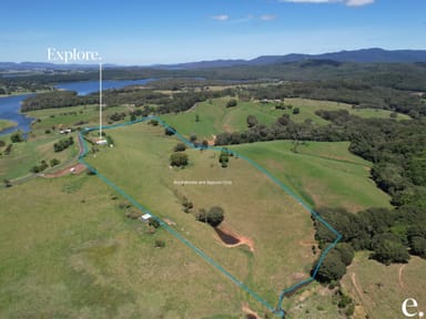 Property 452 Powley Road, BARRINE QLD 4872 IMAGE 0