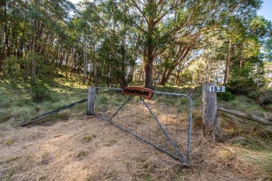 Property 153 Blue Bush Road, Wyanbene NSW 2622 IMAGE 0