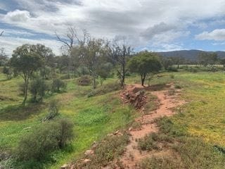 Property Lot 169 Muster Drive, Napperby SA 5540 IMAGE 0