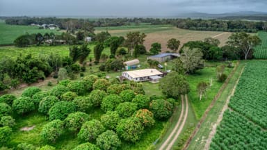 Property 124 Notch Point Road, ILBILBIE QLD 4738 IMAGE 0