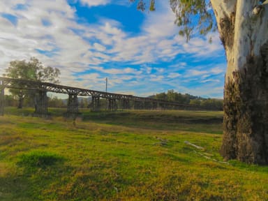 Property 8 Landon Street, GUNDAGAI NSW 2722 IMAGE 0