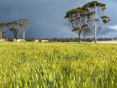 Property . 'Gardens', Shackleton WA 6386 IMAGE 0