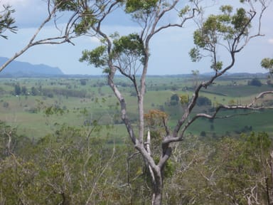 Property UPPER BARRON QLD 4883 IMAGE 0