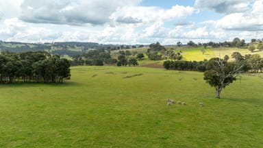 Property 1546 Baldersleigh Road, GUYRA NSW 2365 IMAGE 0