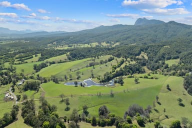 Property 703 Brays Creek Road, Brays Creek NSW 2484 IMAGE 0