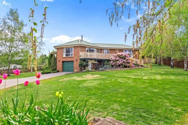 Property 34 Lansdowne Place, DELORAINE TAS 7304 IMAGE 0