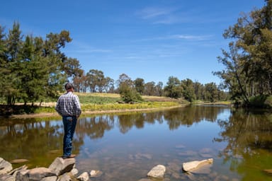 Property 610 Gwydir Park Road, Torryburn NSW 2358 IMAGE 0