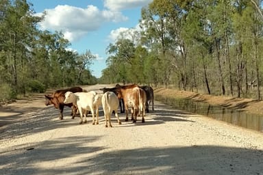 Property Lots 1 & N Yagaburne-Boondandilla Road, Boondandilla QLD 4406 IMAGE 0