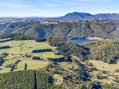 Property 265 Cradle Mountain Road, Wilmot TAS 7310 IMAGE 0