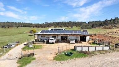 Property 1458 Bendoc-Orbost Road, Bendoc VIC 3888 IMAGE 0