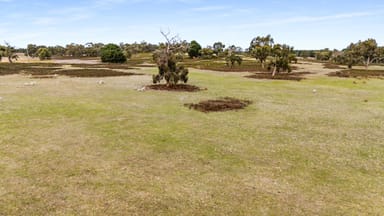 Property 1242 Old Comaum Road, COONAWARRA SA 5263 IMAGE 0