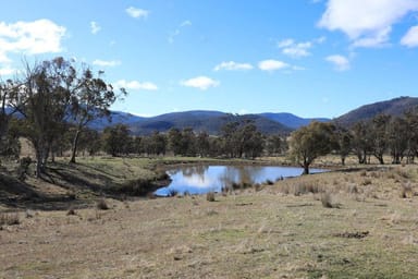 Property 1917 Limestone Road, Benambra VIC 3900 IMAGE 0