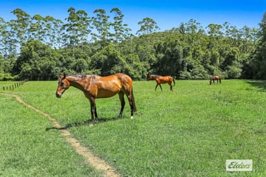 Property 1863 Yarramalong Road, Yarramalong NSW 2259 IMAGE 0