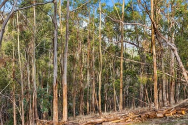 Property Lot 4 Old Brinktop Road, Richmond TAS 7025 IMAGE 0