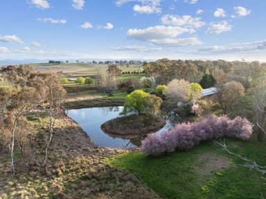 Property ", 2175 Dog Trap Road, Murrumbateman NSW 2582 IMAGE 0