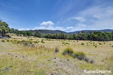 Property Lot 1 Bresnehans Road, Little Swanport TAS 7190 IMAGE 0