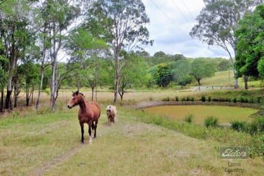 Property Lot 3 Hoffmans Road, Netherby QLD 4650 IMAGE 0