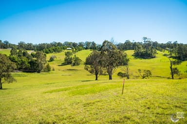Property 9, 81 Wonga Road, NAROOMA NSW 2546 IMAGE 0