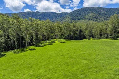 Property 650 Darkwood Road, Thora NSW 2454 IMAGE 0