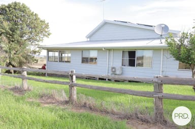 Property 1157 Coonabarabran Road, Mendooran NSW 2842 IMAGE 0
