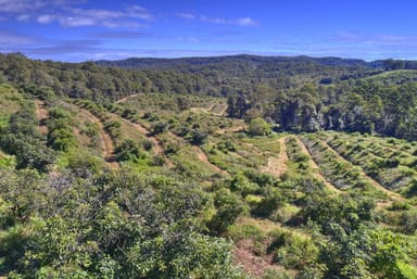 Property 224 Top Forestry Road, Ridgewood QLD 4563 IMAGE 0