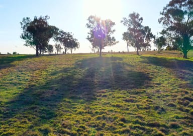 Property Lot 5 Warral-Bithramere Road, TAMWORTH NSW 2340 IMAGE 0