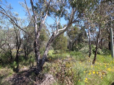 Property Lot 3 Calvert Road, GLEN APLIN QLD 4381 IMAGE 0