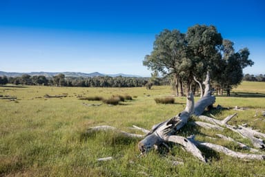 Property CA37A and 37B Hartridge Road, MOLYULLAH VIC 3673 IMAGE 0