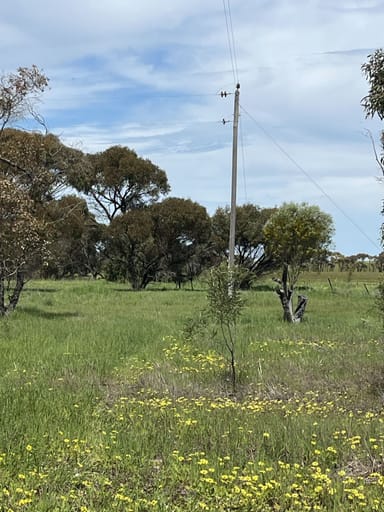 Property Lot 14438 & 14439 Yarramony Road, Jennacubbine WA 6401 IMAGE 0