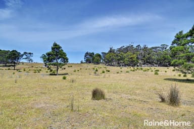 Property Lot 1 Bresnehans Road, Little Swanport TAS 7190 IMAGE 0