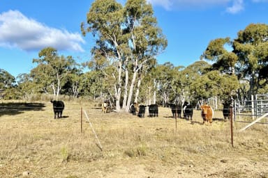 Property 3814 Oallen Ford Road, Windellama NSW 2580 IMAGE 0