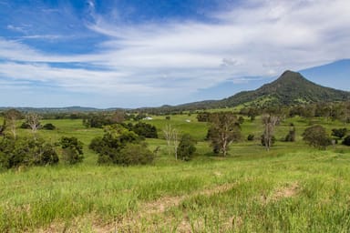 Property 29 Musavale Road, Eerwah Vale QLD 4562 IMAGE 0