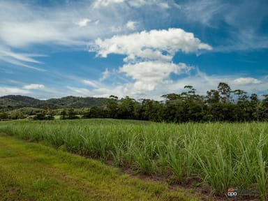 Property Lot 6 Woopen Creek Road, Woopen Creek QLD 4871 IMAGE 0