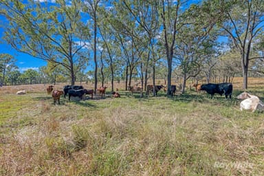 Property 2364 Gin Gin Mount Perry Road, NEW MOONTA QLD 4671 IMAGE 0