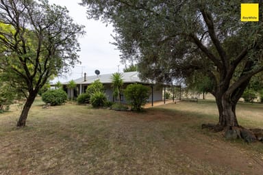 Property 4213 Elcombe Road, Bingara NSW 2404 IMAGE 0