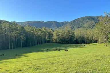 Property 650 Darkwood Road, Thora NSW 2454 IMAGE 0